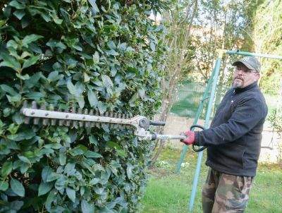 Taille de haies Montlhéry