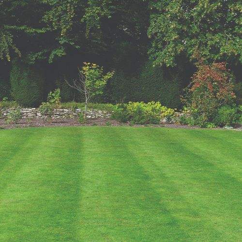 Terrain engazonné Montlhéry