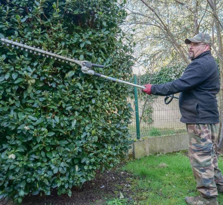 Travaux visant à contrôler la croissance des haies