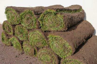 Pose de pelouse pré-cultivée pour embellir votre jardin